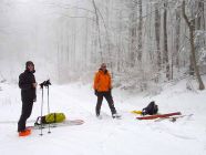 Day 16- in the woods again